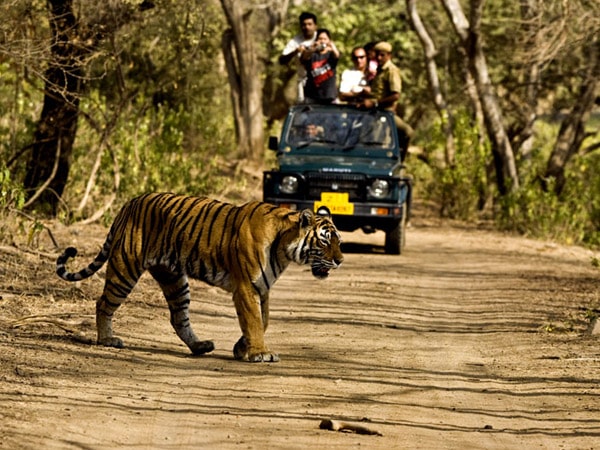 Jim-corbett-national-park-uttarakhand