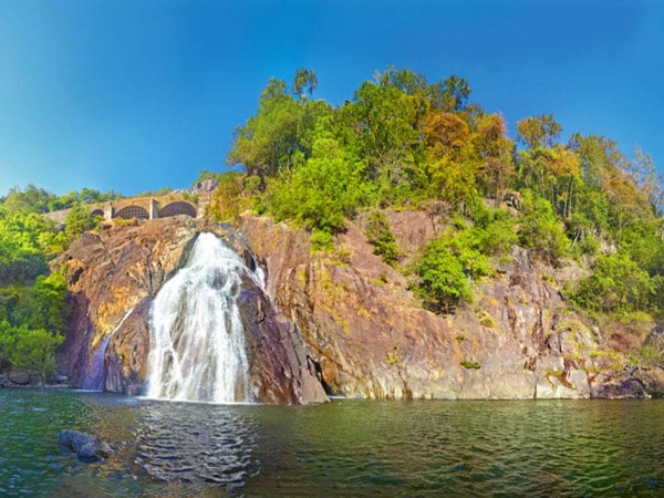 bhagwan-mahavir-wildlife-sanctuary-goa