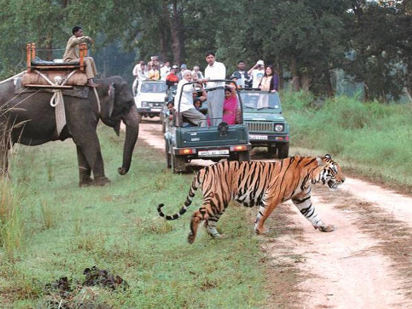dudhwa-national-park-uttar-pradesh