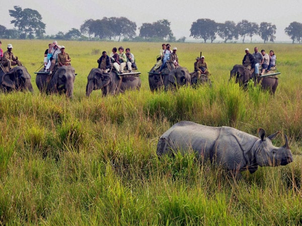 kaziranga-national-park-assam