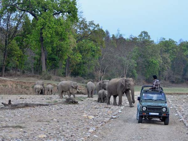 rajaji-national-park-uttarakhand
