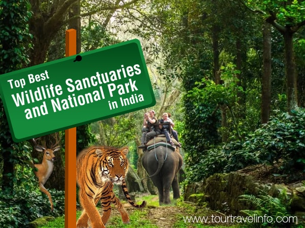 top-best-wildlife-sanctuaries-and-national-park-in-india