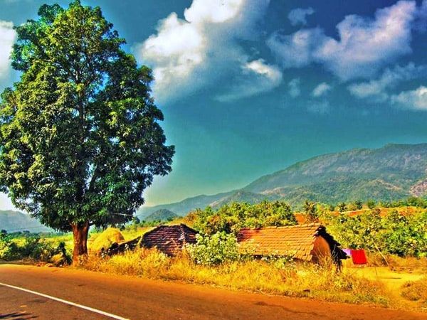Araku