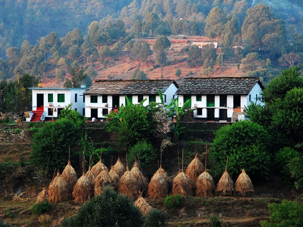 Binsar