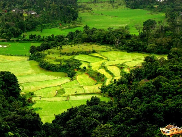 Coorg