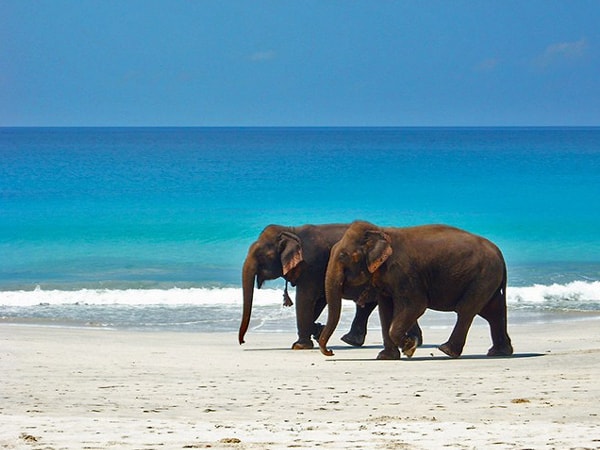 Elephanta-Beach-Andaman