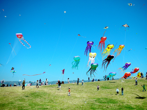 Makar Sakranti