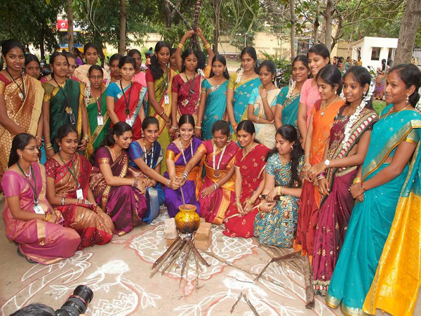 Pongal Tamil Nadu