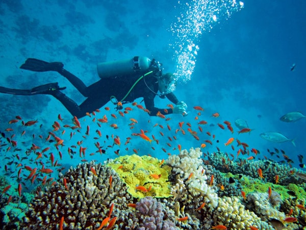 Scuba-Diving