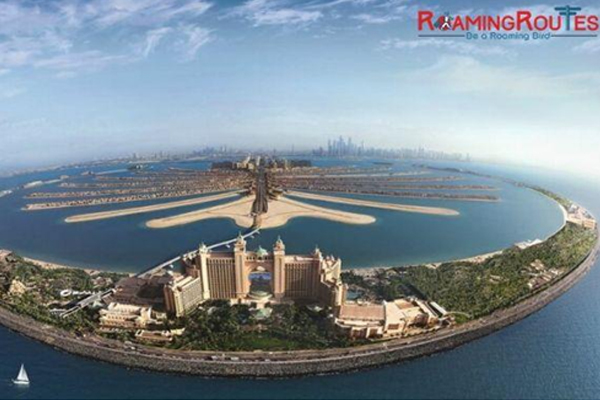 Palm Island Palm Island